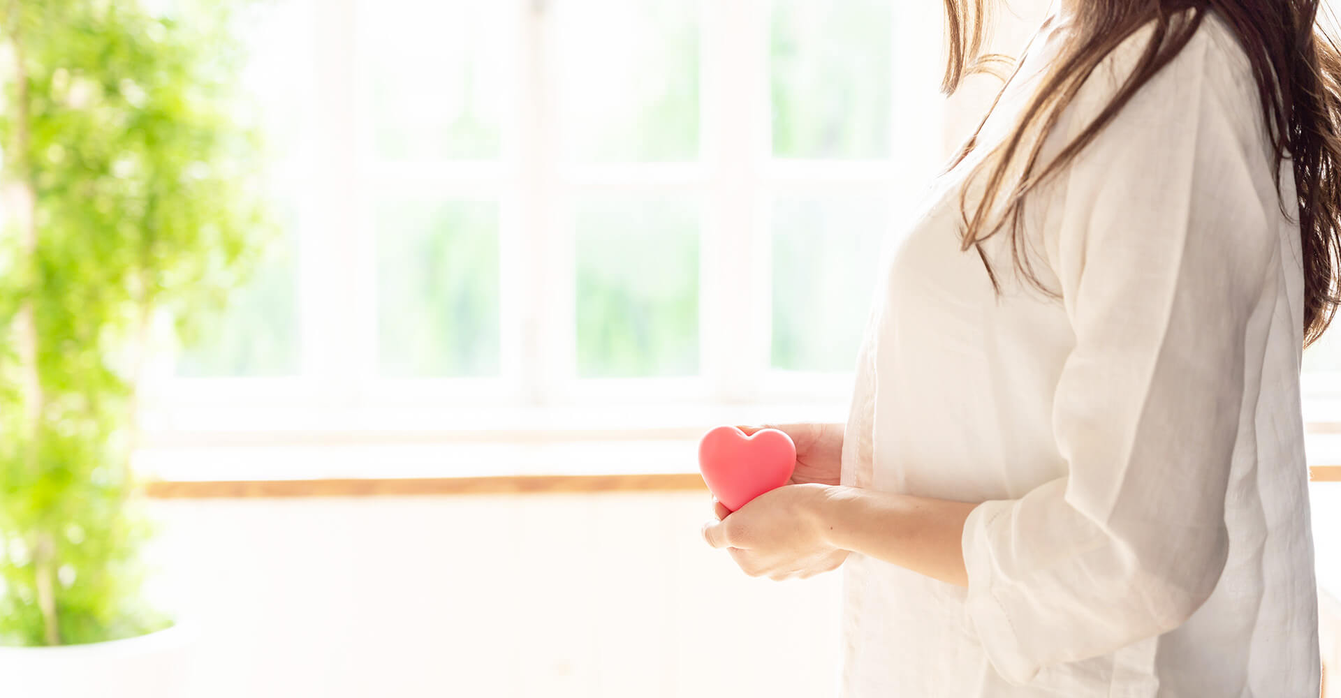 メインビジュアル02